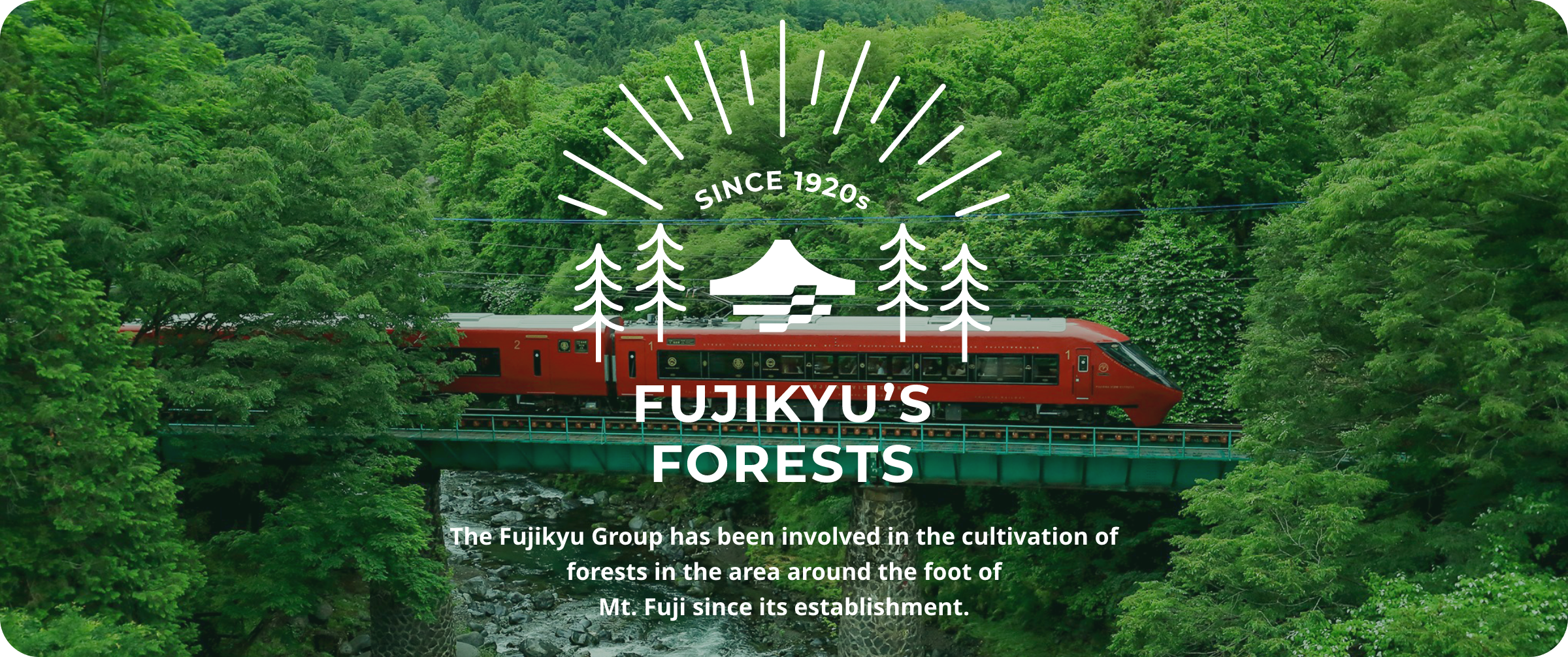 Fujikyu’s Forests