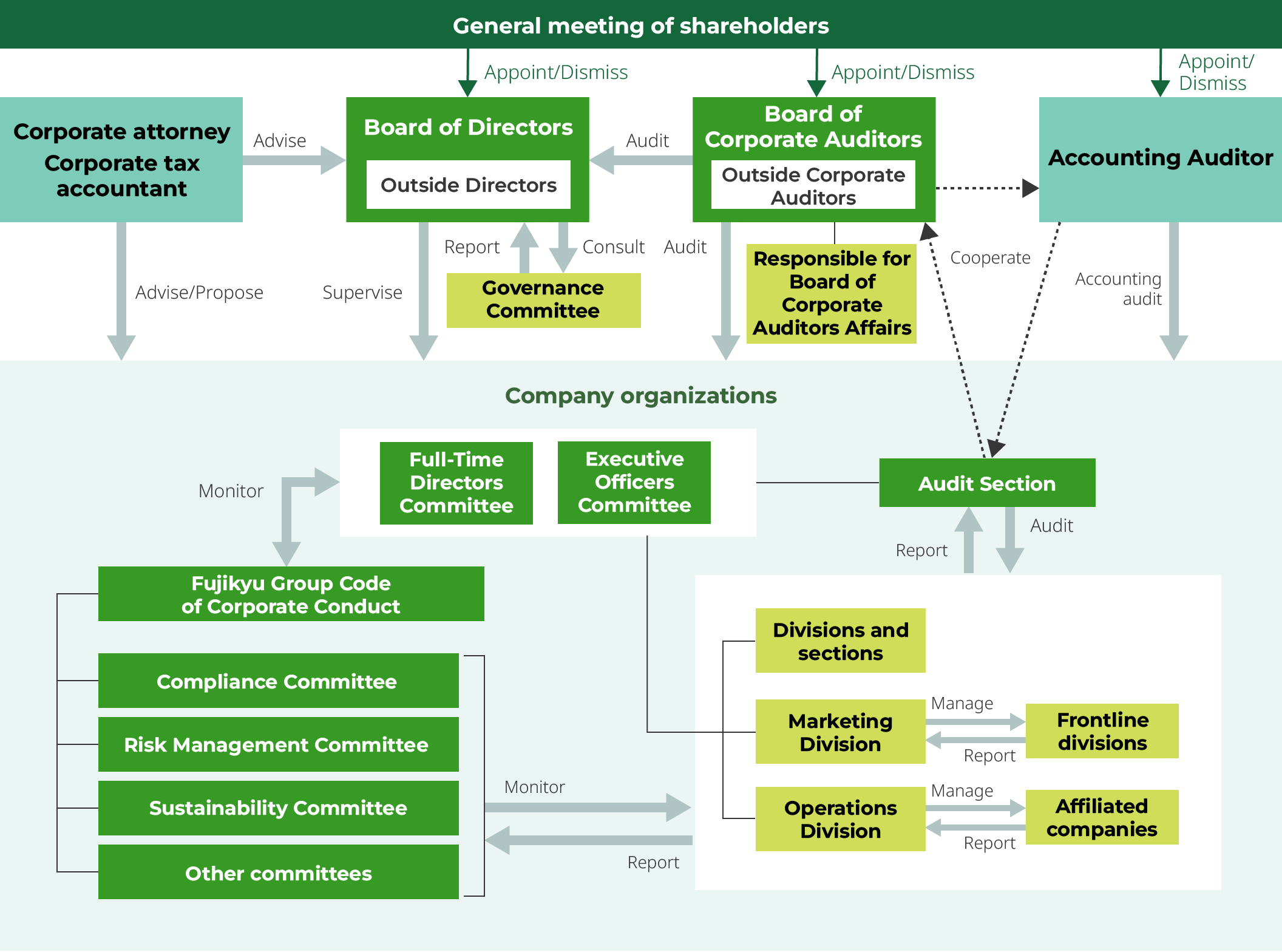 Corporate governance structural diagram