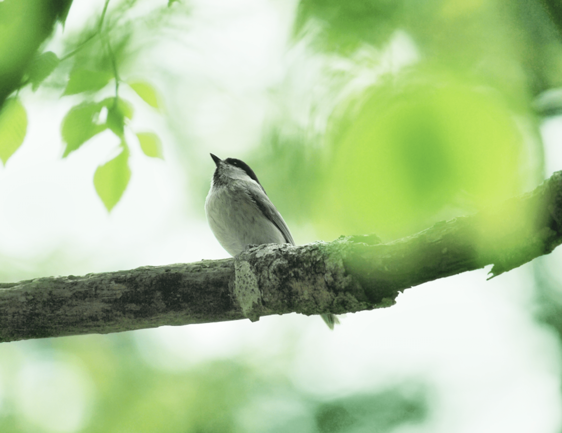 多様な生物が暮らす